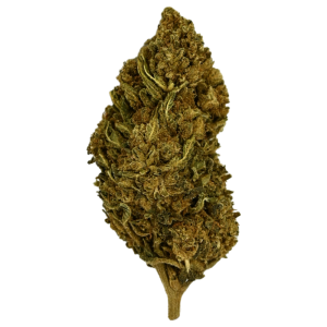 BERRY - Fleur de CBD