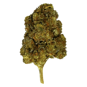 BUBBLE DRY - Fleur de CBD