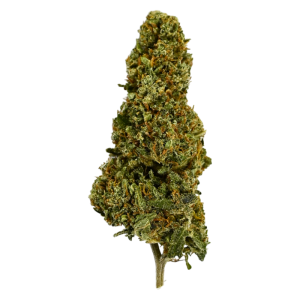 BUDDHA OG - Fleur De CBD