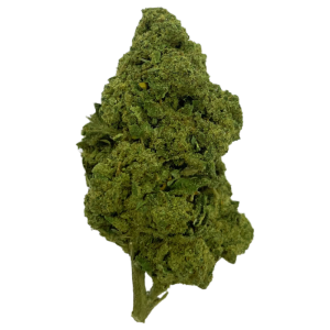 CRITICAL KUSH - Fleur De CBD